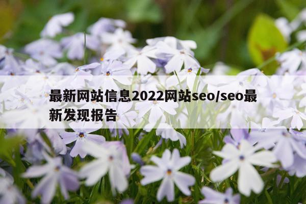 最新网站信息2022网站seo/seo最新发现报告