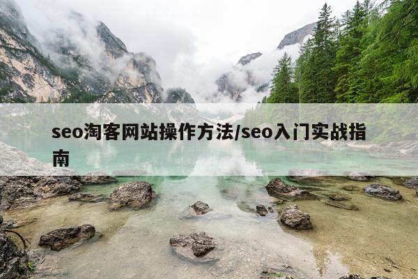 seo淘客网站操作方法/seo入门实战指南