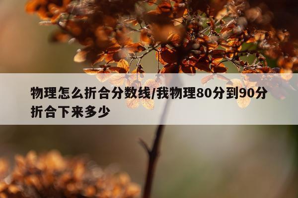 物理怎么折合分数线/我物理80分到90分折合下来多少