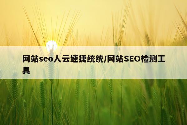 网站seo人云速捷统统/网站SEO检测工具