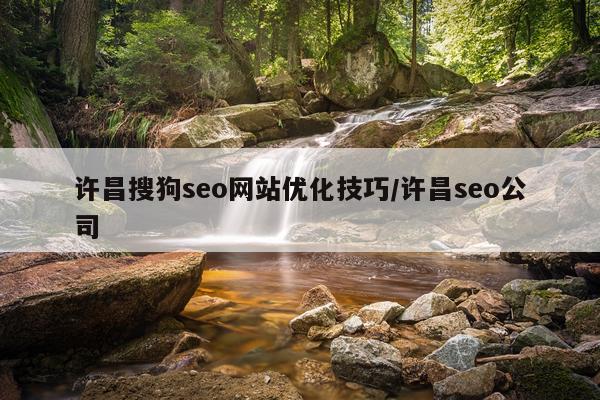 许昌搜狗seo网站优化技巧/许昌seo公司