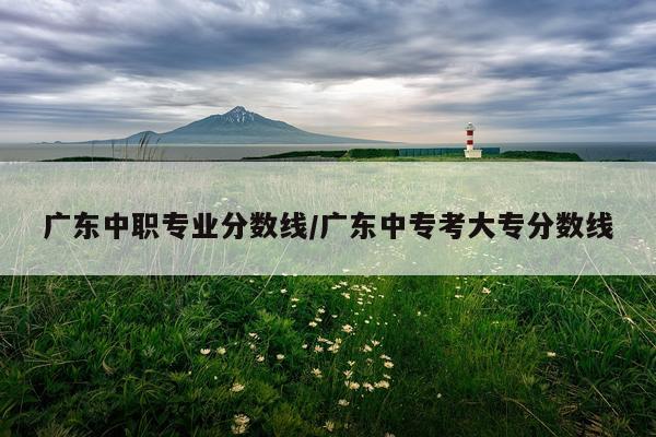 广东中职专业分数线/广东中专考大专分数线