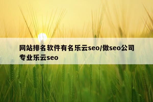 网站排名软件有名乐云seo/做seo公司专业乐云seo