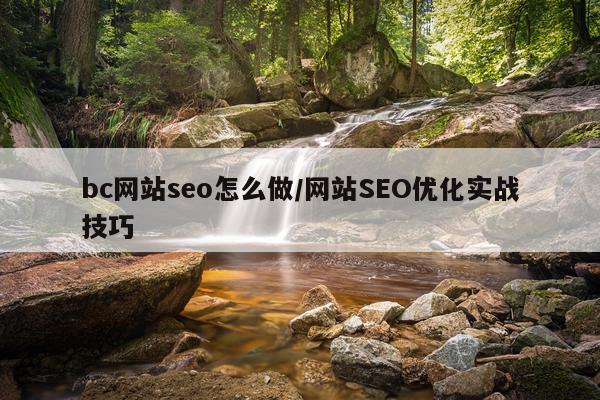 bc网站seo怎么做/网站SEO优化实战技巧