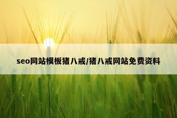 seo网站模板猪八戒/猪八戒网站免费资料
