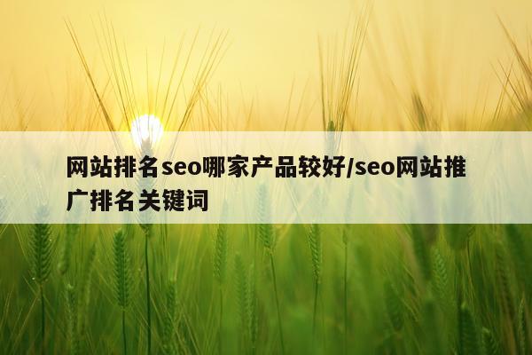 网站排名seo哪家产品较好/seo网站推广排名关键词