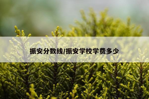 振安分数线/振安学校学费多少