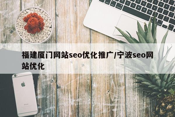 福建厦门网站seo优化推广/宁波seo网站优化