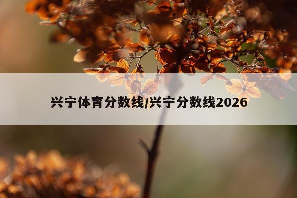 兴宁体育分数线/兴宁分数线2026
