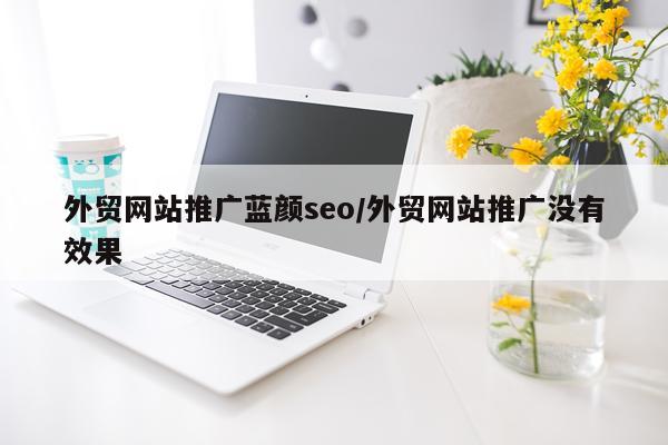 外贸网站推广蓝颜seo/外贸网站推广没有效果
