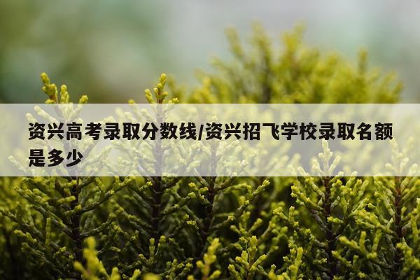 资兴高考录取分数线/资兴招飞学校录取名额是多少