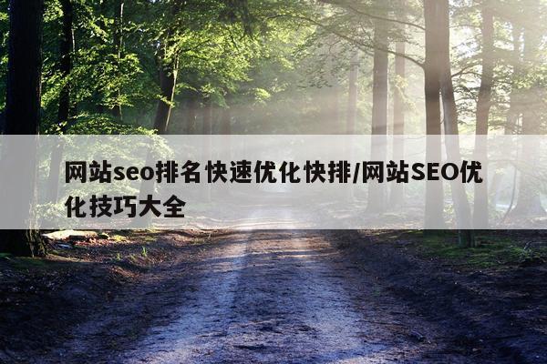 网站seo排名快速优化快排/网站SEO优化技巧大全
