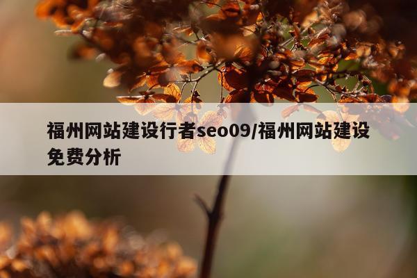 福州网站建设行者seo09/福州网站建设免费分析
