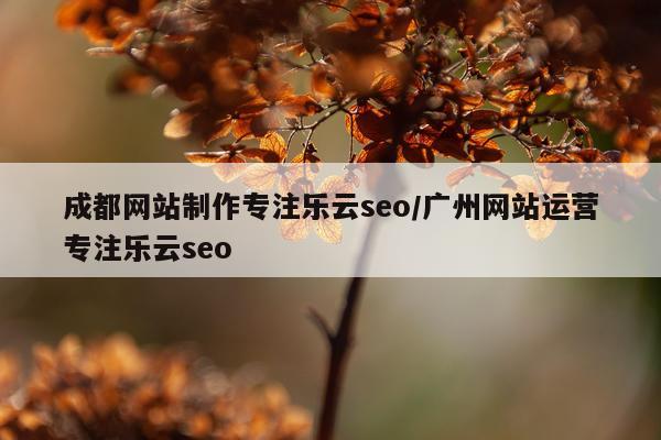 成都网站制作专注乐云seo/广州网站运营专注乐云seo