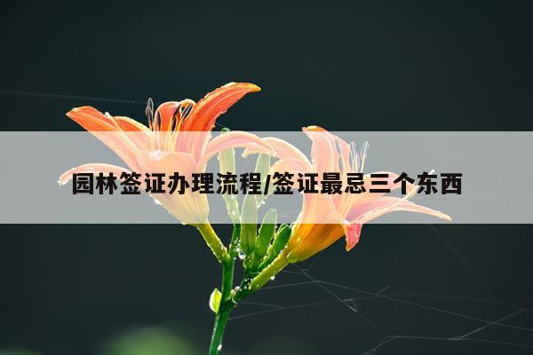 园林签证办理流程/签证最忌三个东西