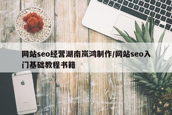 网站seo经营湖南岚鸿制作/网站seo入门基础教程书籍