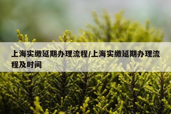 上海实缴延期办理流程/上海实缴延期办理流程及时间