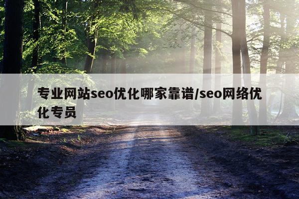 专业网站seo优化哪家靠谱/seo网络优化专员