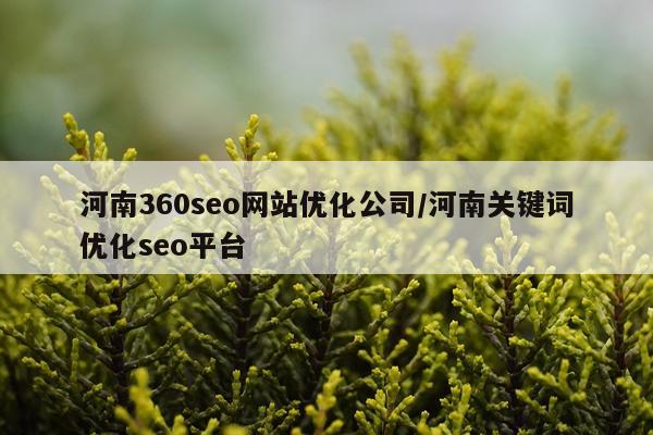 河南360seo网站优化公司/河南关键词优化seo平台