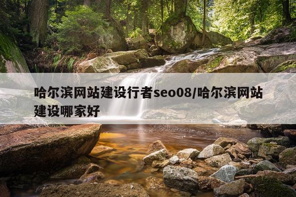 哈尔滨网站建设行者seo08/哈尔滨网站建设哪家好