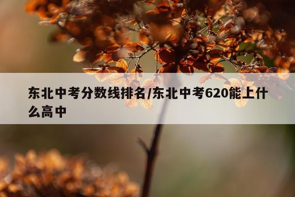 东北中考分数线排名/东北中考620能上什么高中