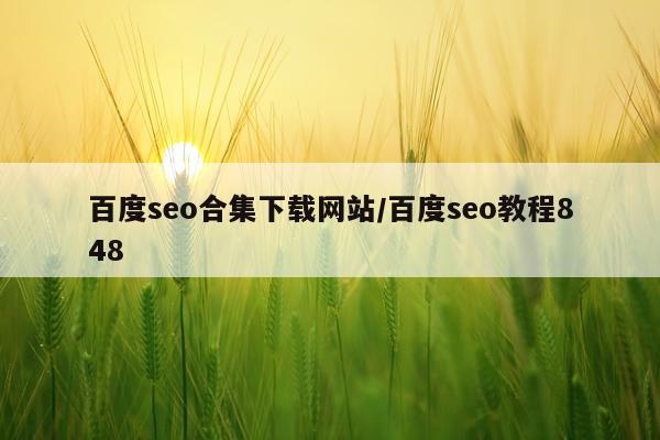 百度seo合集下载网站/百度seo教程848