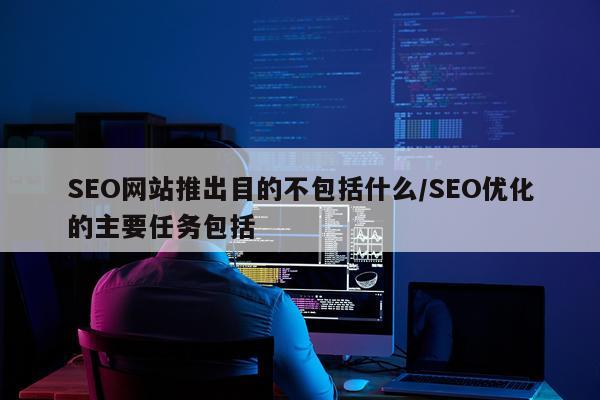 SEO网站推出目的不包括什么/SEO优化的主要任务包括