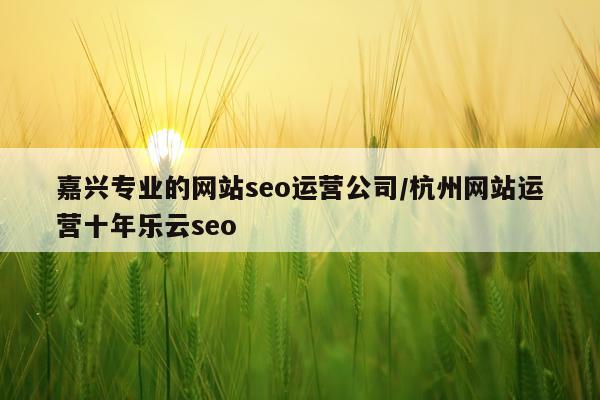 嘉兴专业的网站seo运营公司/杭州网站运营十年乐云seo