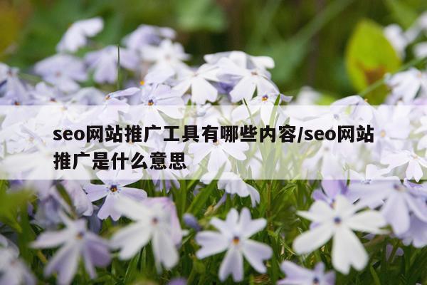 seo网站推广工具有哪些内容/seo网站推广是什么意思