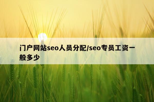 门户网站seo人员分配/seo专员工资一般多少