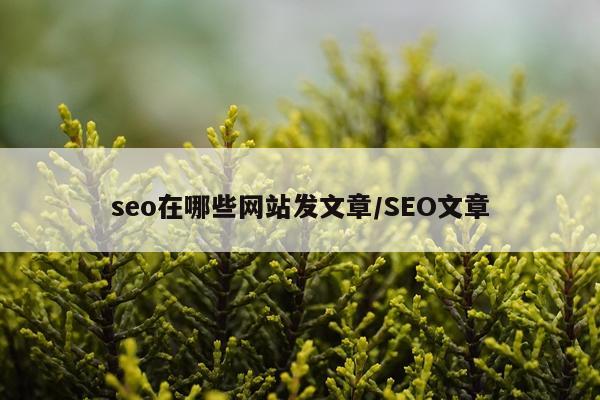 seo在哪些网站发文章/SEO文章