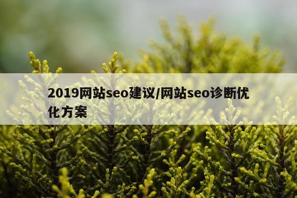 2019网站seo建议/网站seo诊断优化方案