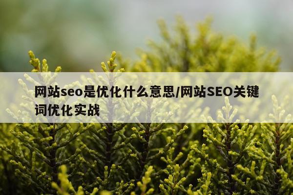 网站seo是优化什么意思/网站SEO关键词优化实战