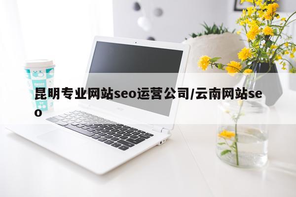 昆明专业网站seo运营公司/云南网站seo
