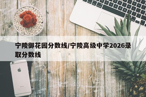 宁陵御花园分数线/宁陵高级中学2026录取分数线