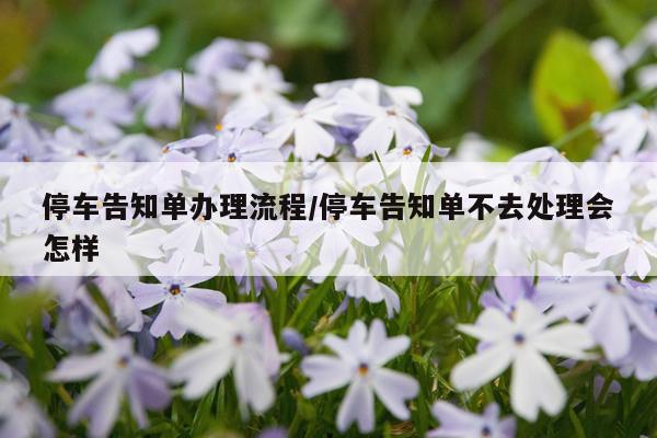 停车告知单办理流程/停车告知单不去处理会怎样