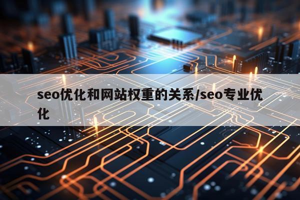 seo优化和网站权重的关系/seo专业优化