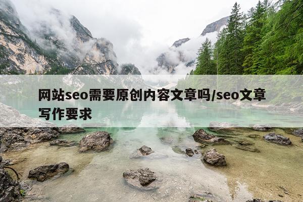 网站seo需要原创内容文章吗/seo文章写作要求