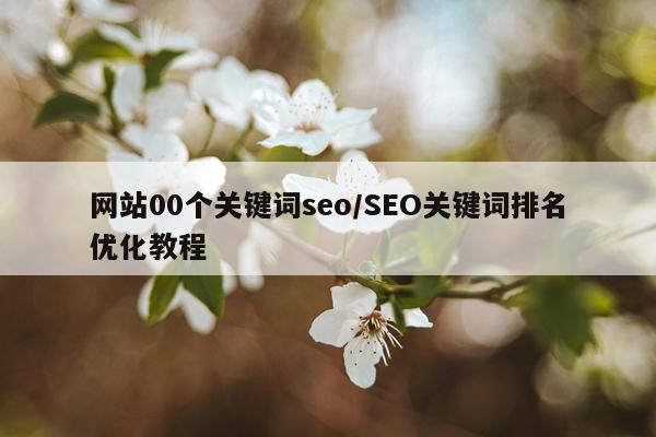 网站00个关键词seo/SEO关键词排名优化教程
