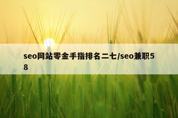 seo网站零金手指排名二七/seo兼职58