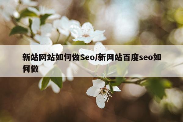 新站网站如何做Seo/新网站百度seo如何做