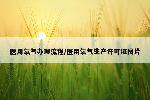 医用氧气办理流程/医用氧气生产许可证图片