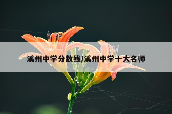 溪州中学分数线/溪州中学十大名师