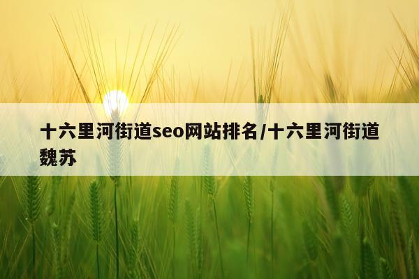 十六里河街道seo网站排名/十六里河街道魏苏
