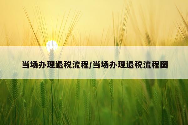 当场办理退税流程/当场办理退税流程图