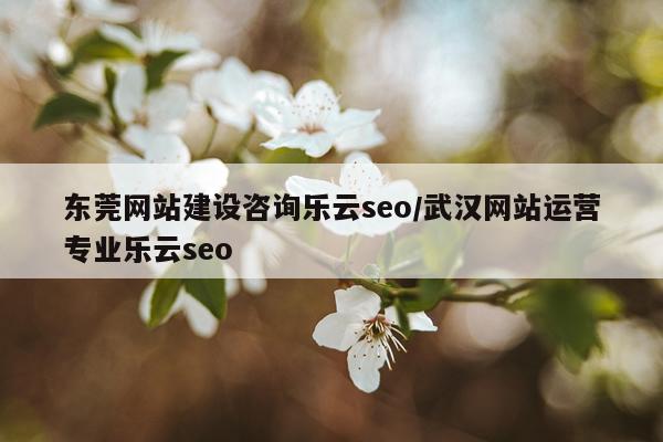 东莞网站建设咨询乐云seo/武汉网站运营专业乐云seo