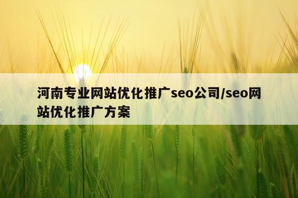 河南专业网站优化推广seo公司/seo网站优化推广方案