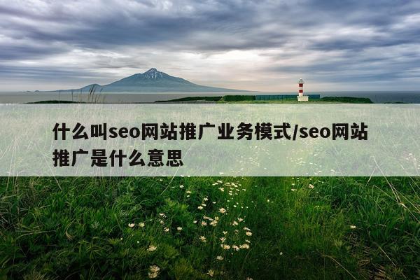 什么叫seo网站推广业务模式/seo网站推广是什么意思