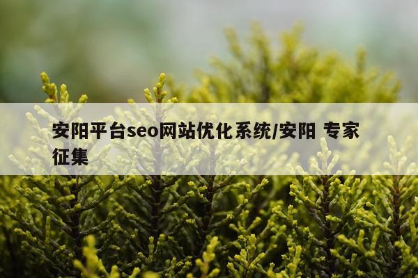 安阳平台seo网站优化系统/安阳 专家 征集