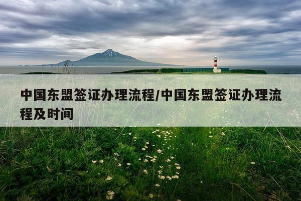 中国东盟签证办理流程/中国东盟签证办理流程及时间